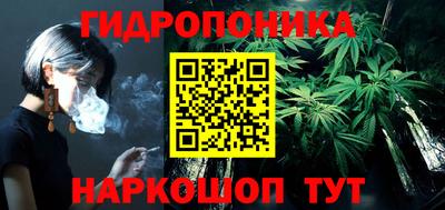 спиды Новодвинск