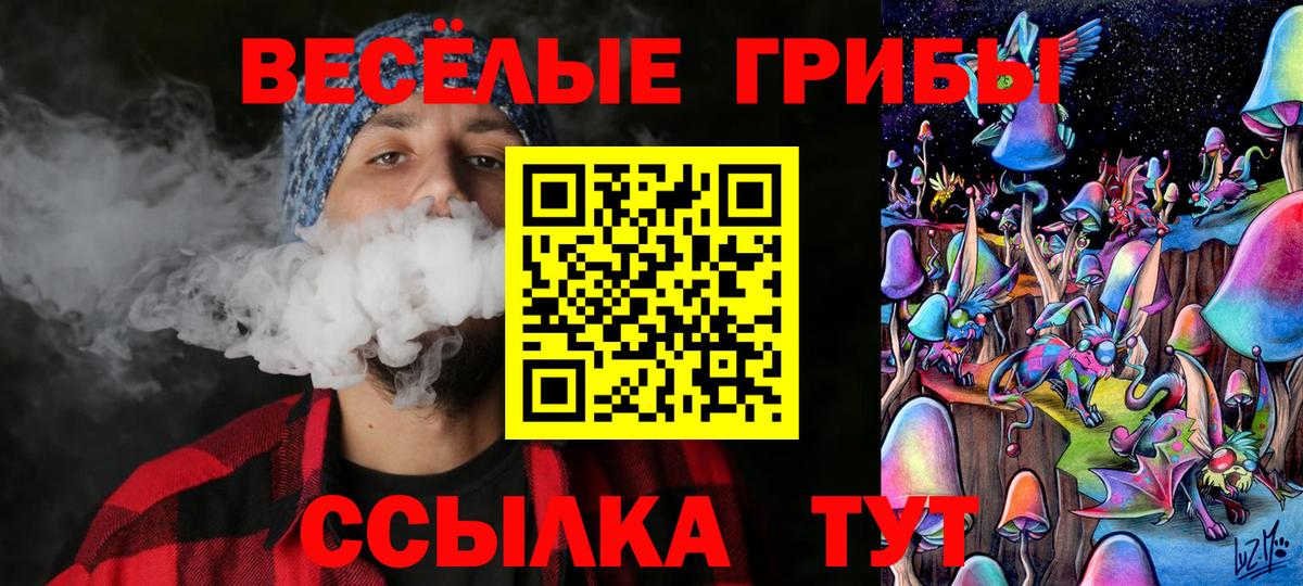  КОКАИН Сунжа