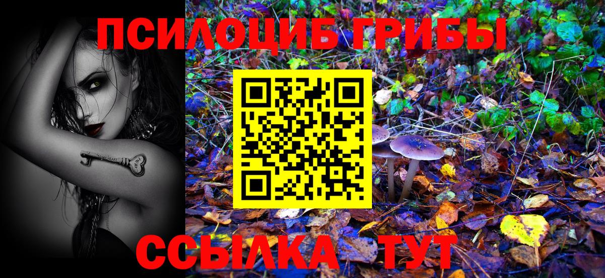 Галлюциногенные грибы MAGIC MUSHROOMS Сунжа