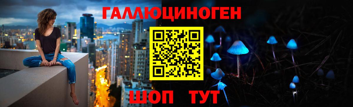 Псилоцибиновые грибы Magic Shrooms  Вход с VPN  Сунжа 